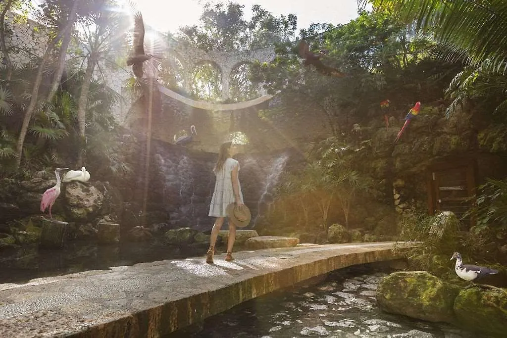 Hotel Xcaret Arte - All Parks All Fun Inclusive - Adults Only Playa del Carmen