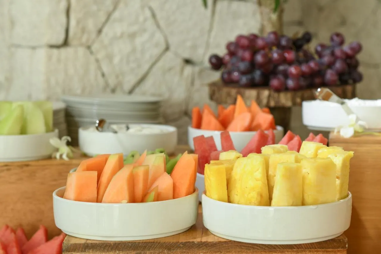 Hotel Xcaret Arte - All Parks All Fun Inclusive - Adults Only Плая-дель-Кармен Мексика